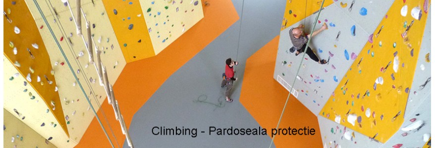 Pardoseli Climbing Safe